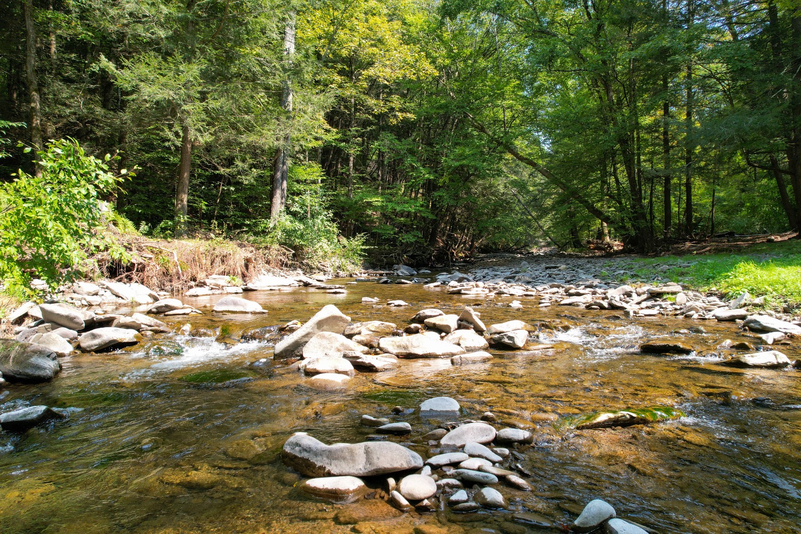 #7 photo, 3774 Methol Rd, East Branch , NY 13756