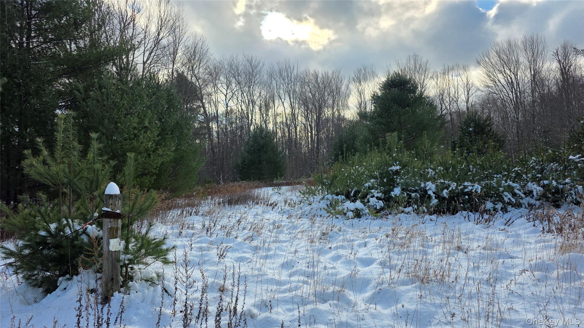 #4 photo, 1487 Ulster Heights Road, Wawarsing , NY 12428