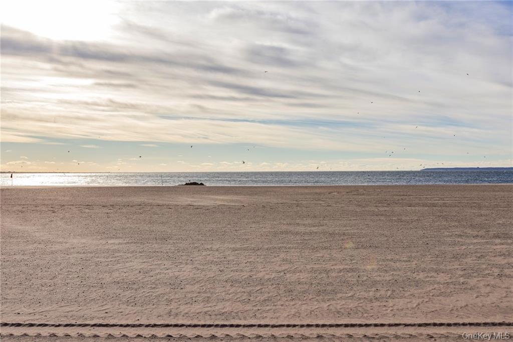 #19 photo, 3101 Ocean Parkway, Brooklyn , NY 11235