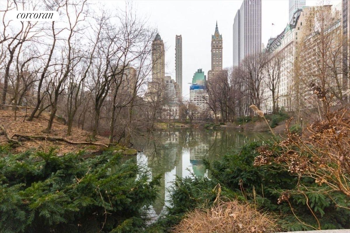 #2 photo, New York City, Central Park South , NY 10019