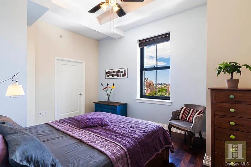 #4 photo, 1 Hanson Place, Brooklyn , NY 11243