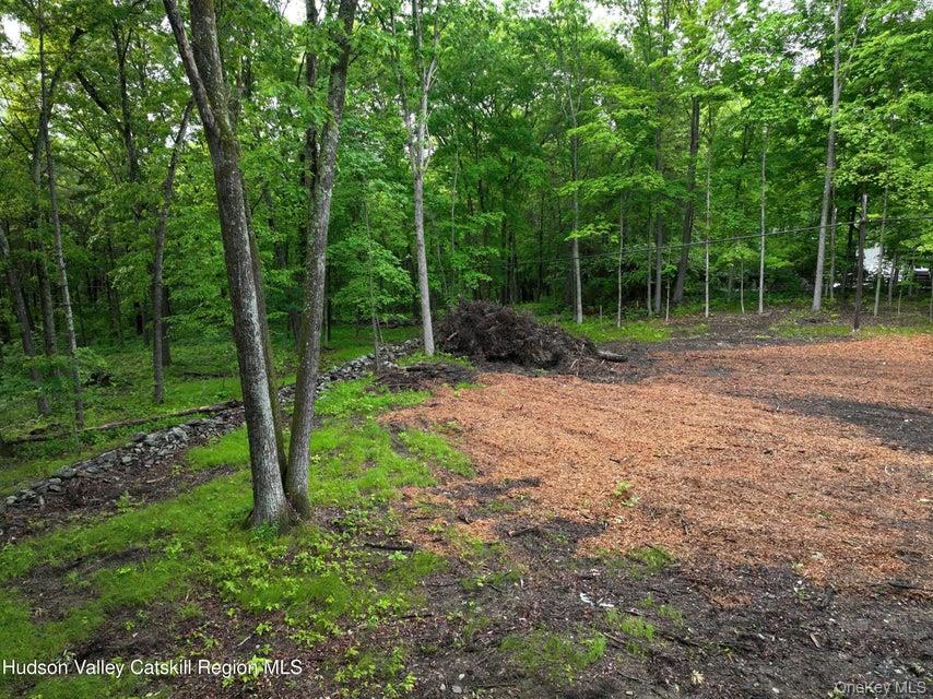 #2 photo, 154 Forest Hill Drive, Kingston , NY 12401