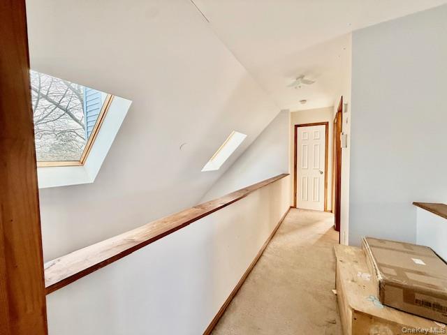 #15 photo, 19 Birchwood Drive, Shirley , NY 11967