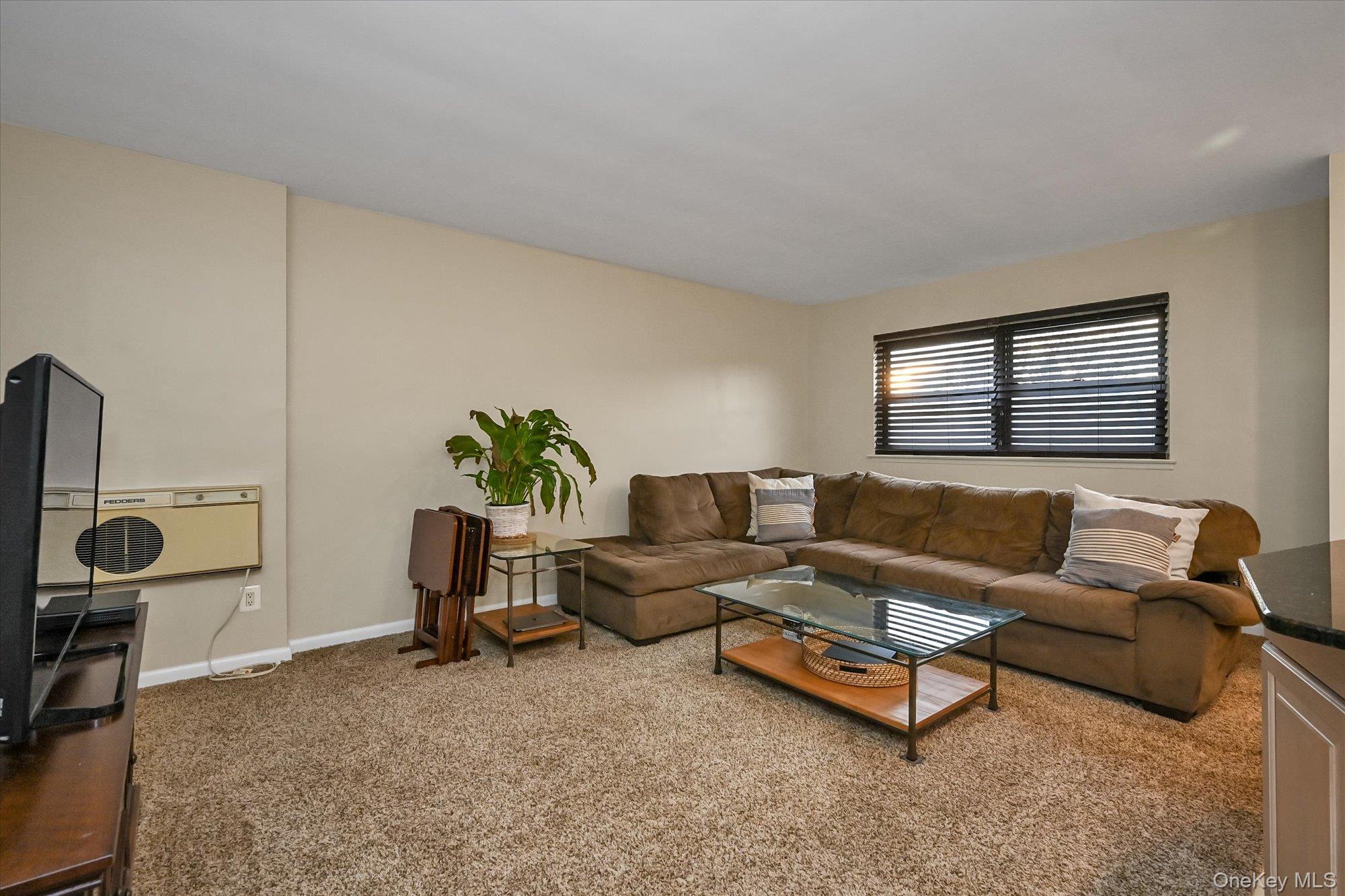 #4 photo, 25 Elizabeth Street, Farmingdale , NY 11735