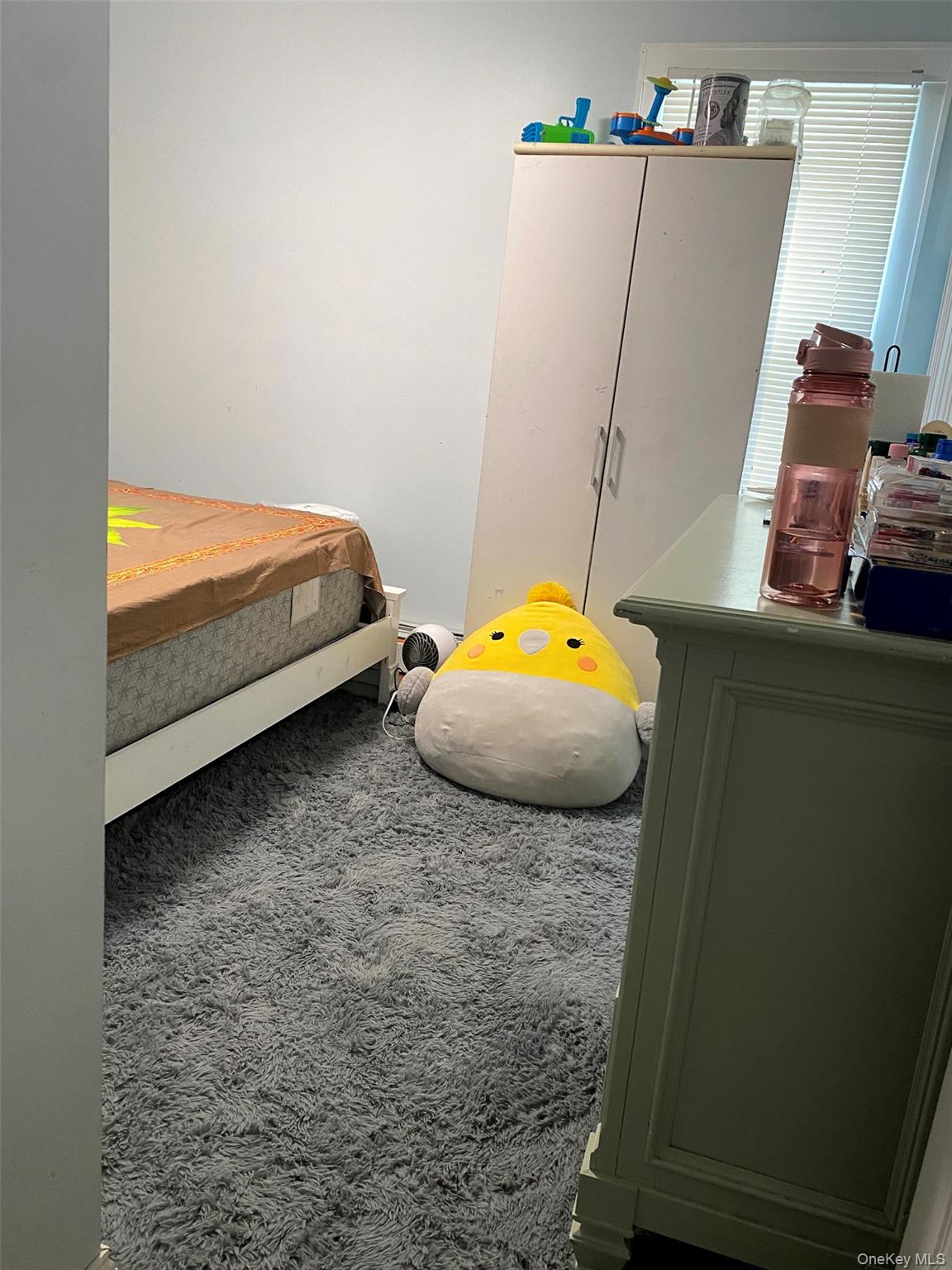 #1 photo, 107-02 Pinegrove Street, Jamaica , NY 11435