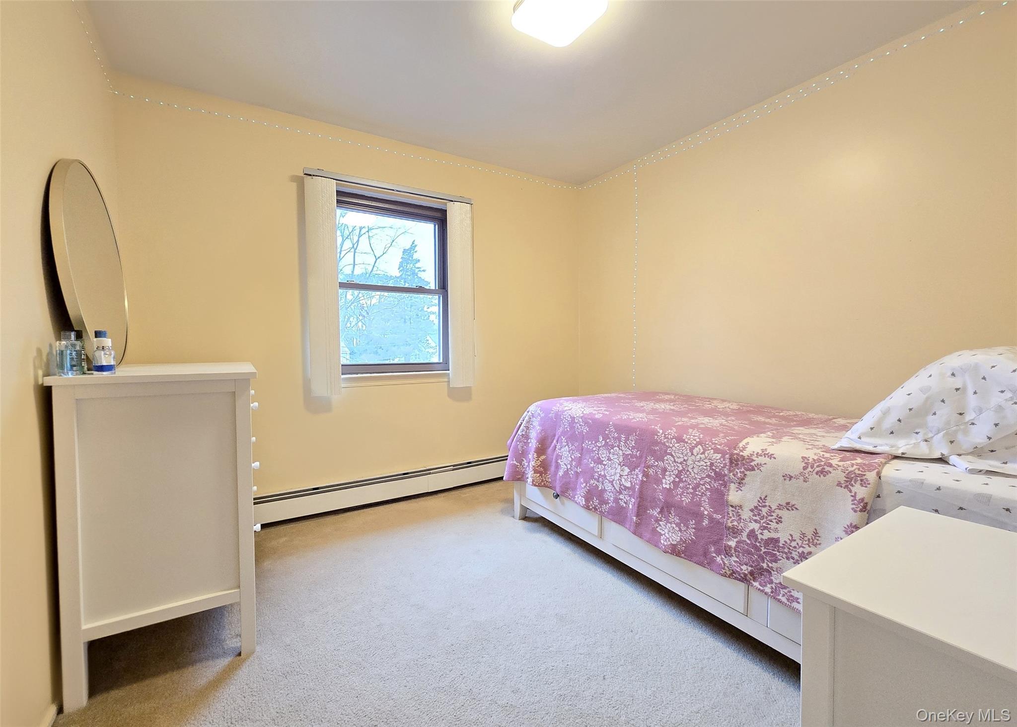 #10 photo, 207 N Evergreen Drive, Selden , NY 11784