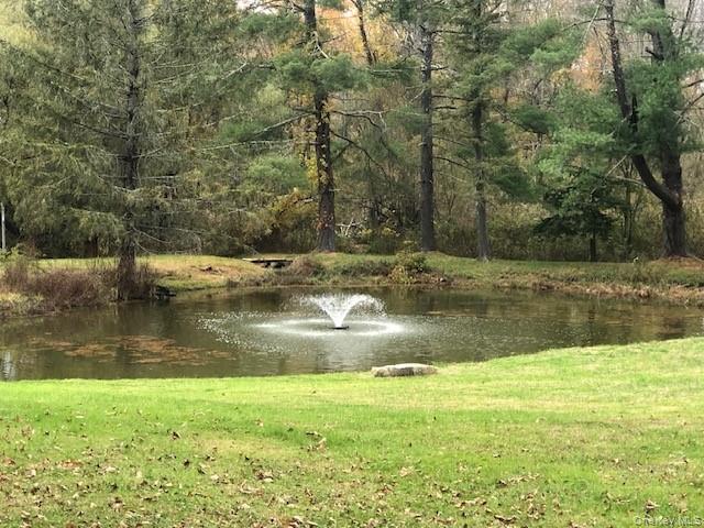 #1 photo, 20 Abbeyfield Lane, Brewster , NY 10509