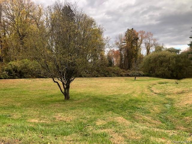 #3 photo, 20 Abbeyfield Lane, Brewster , NY 10509