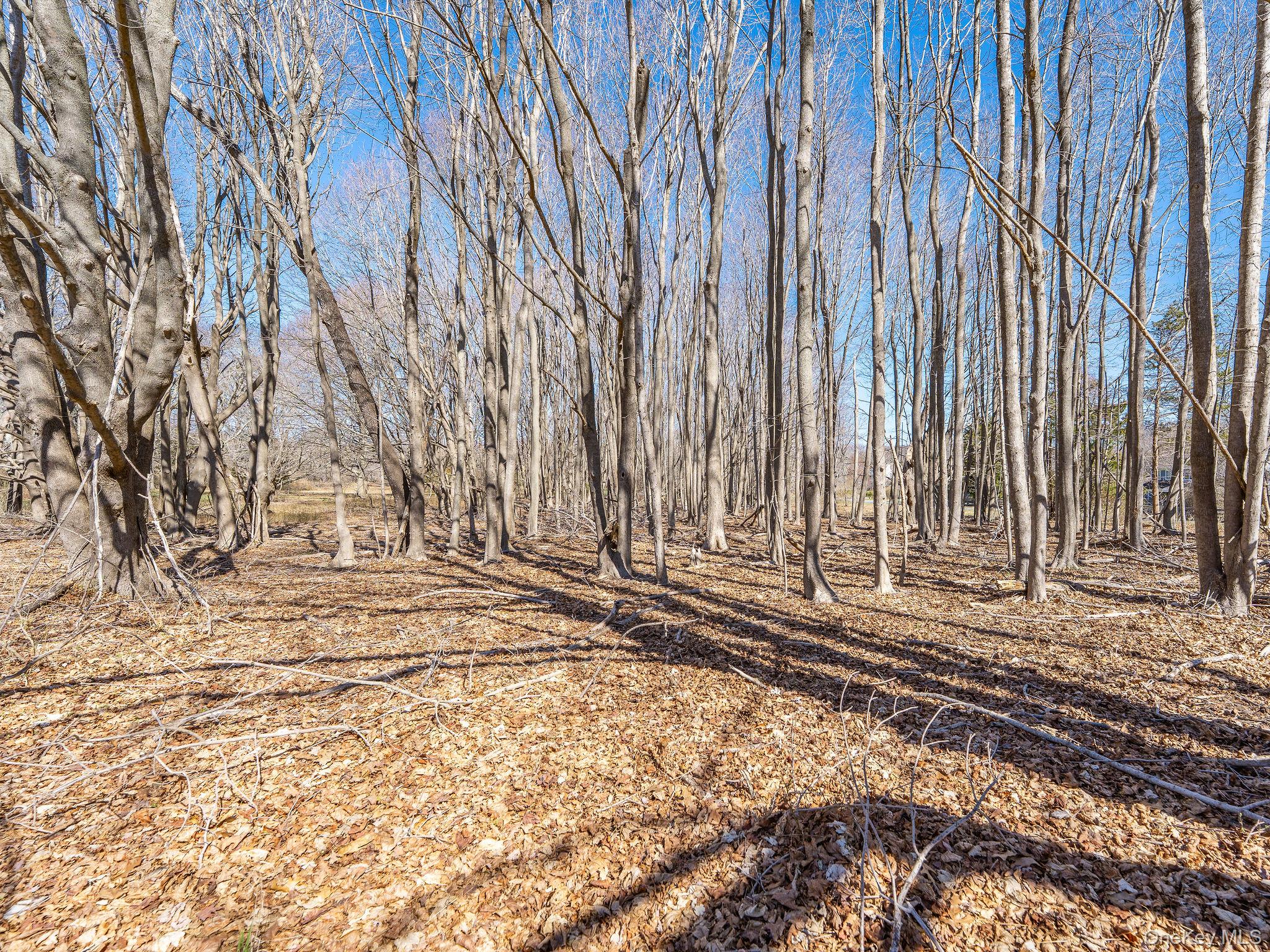 #9 photo, 195 Mt Beulah Avenue, Southold , NY 11971