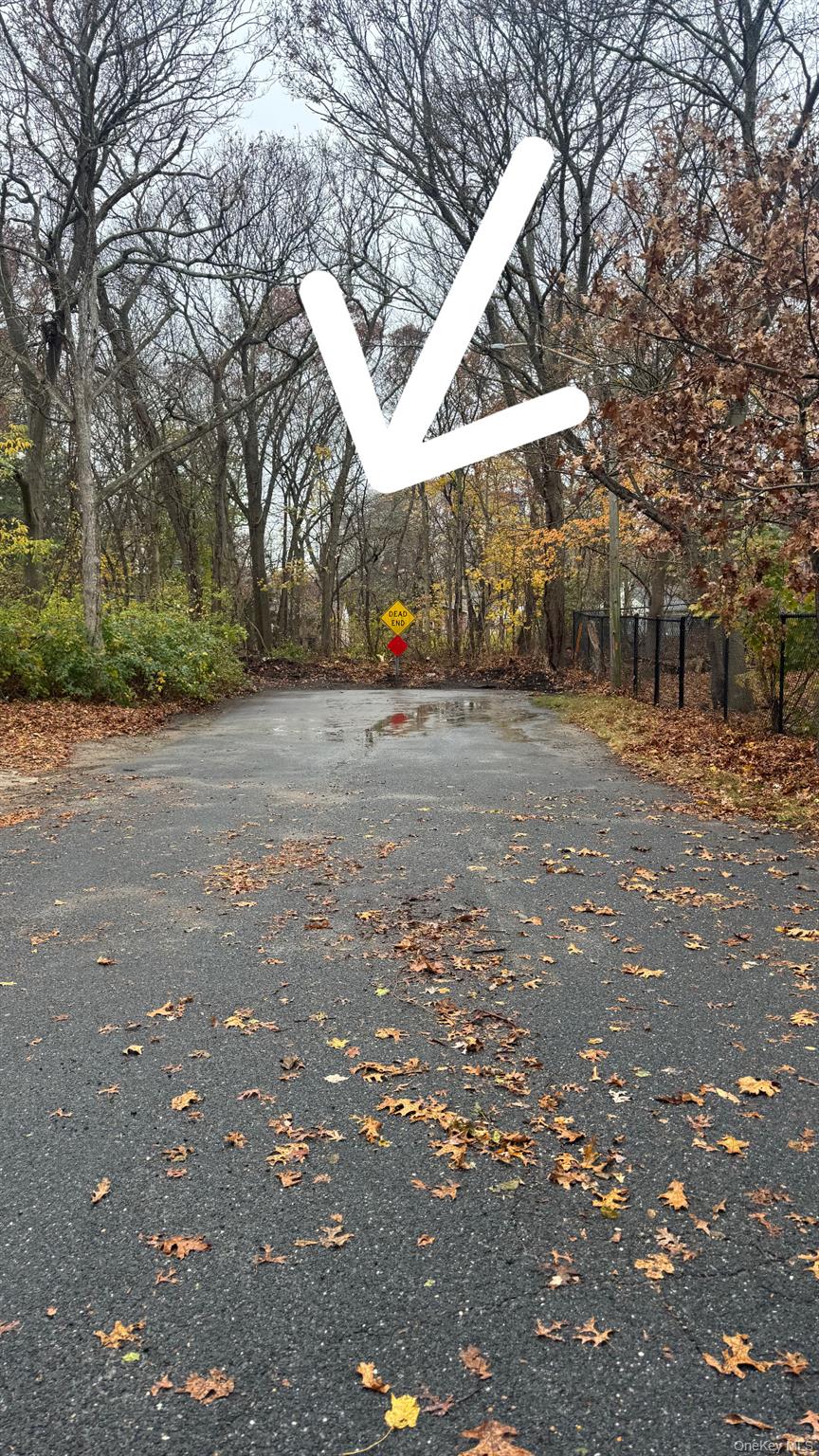 #2 photo, Iroquois Avenue, Selden , NY 11784