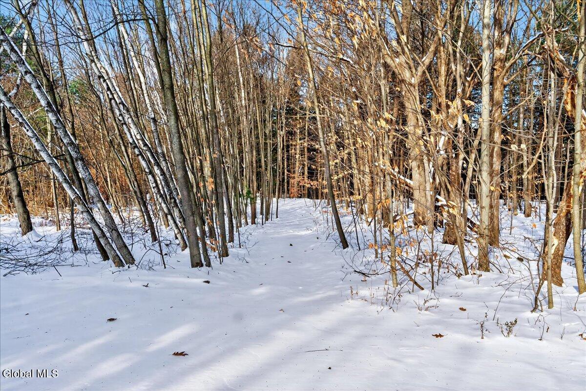 #46 photo, 1019 Gideon Trace, 纽约州 Charlton , NY 12302