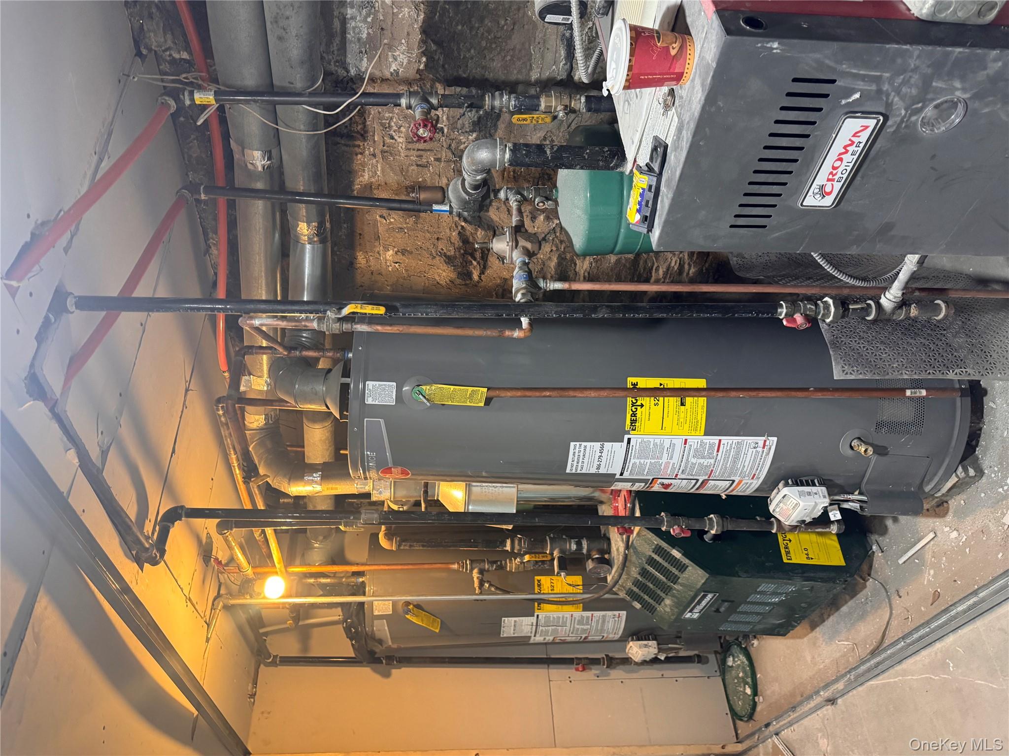 #3 photo, 433 Jerome St., Brooklyn , NY 11207