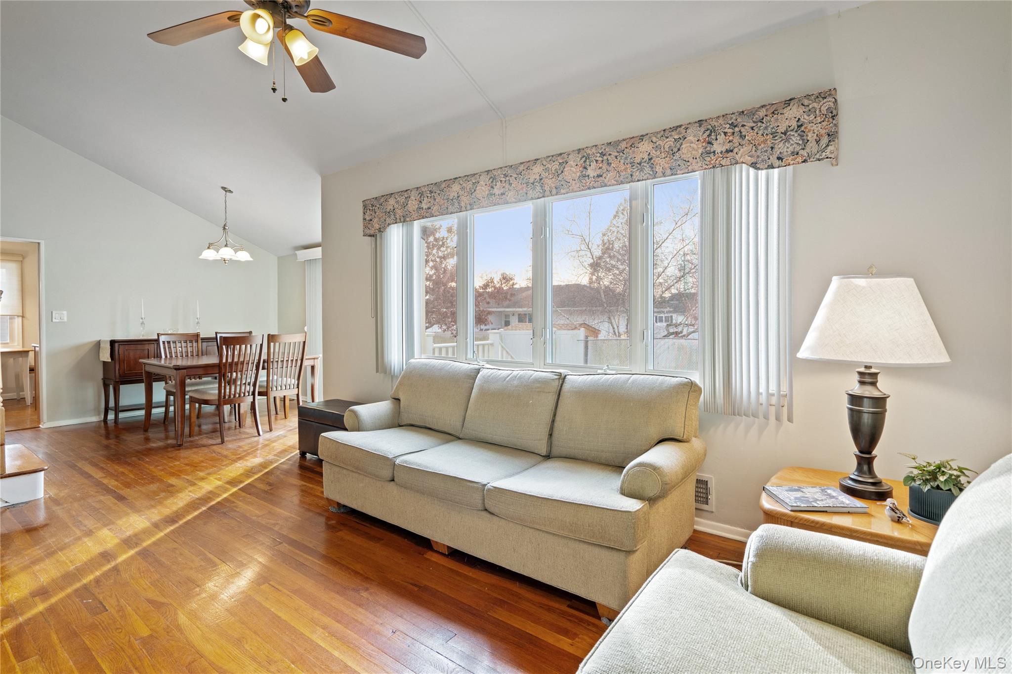 #13 photo, 246 W 10th Street, Deer Park , NY 11729