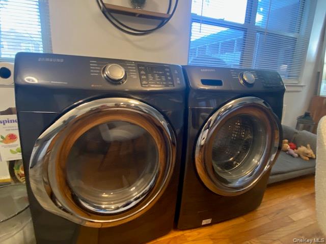 #7 photo, 260-40 73rd. Avenue, 皇后區 Glen Oaks , NY 11004