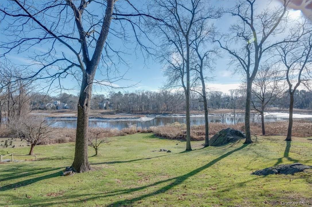 #8 photo, 729 Stuart Avenue, Mamaroneck , NY 10543