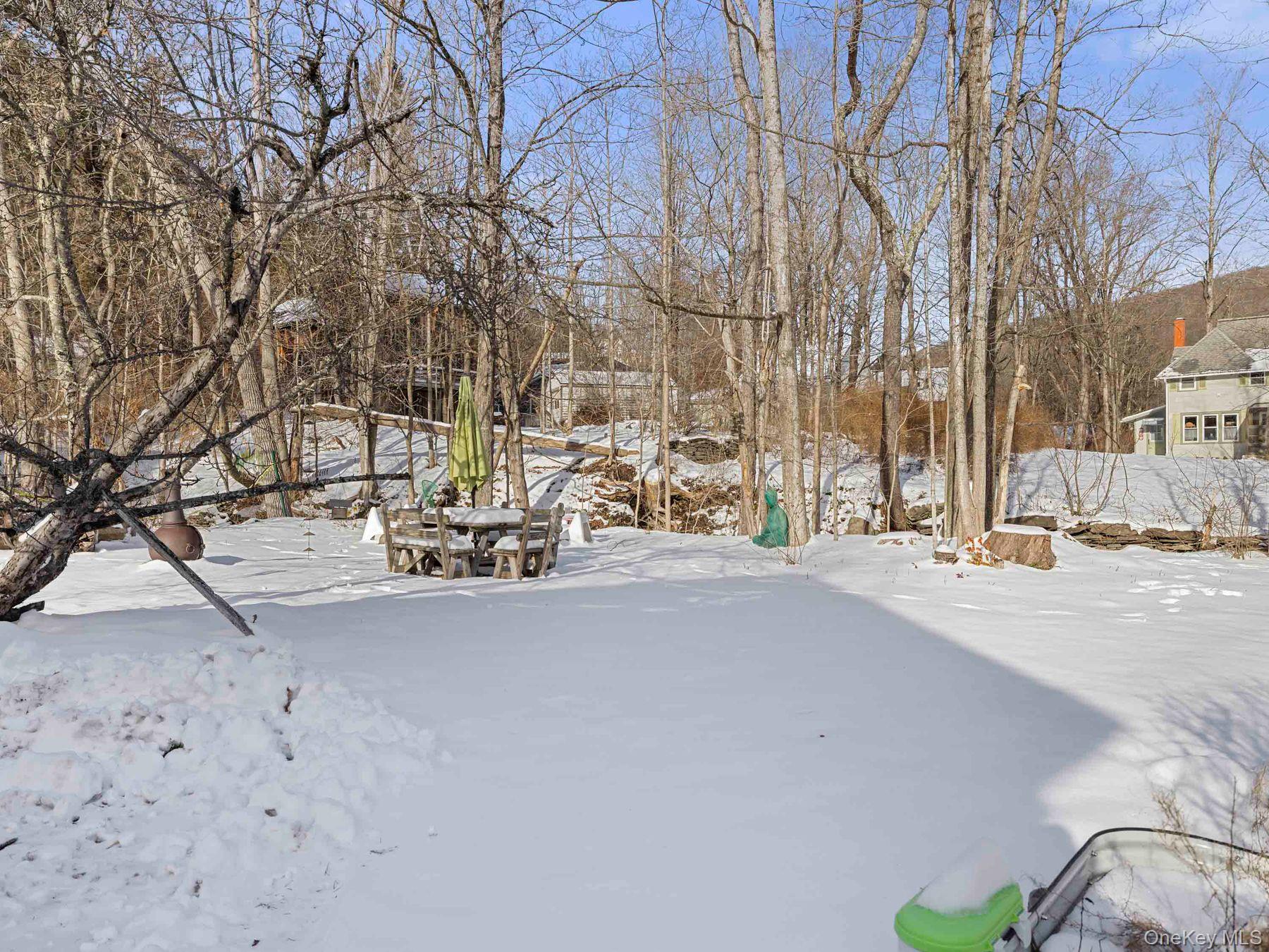 #9 photo, 38 Elm Street, Shandaken , NY 12465