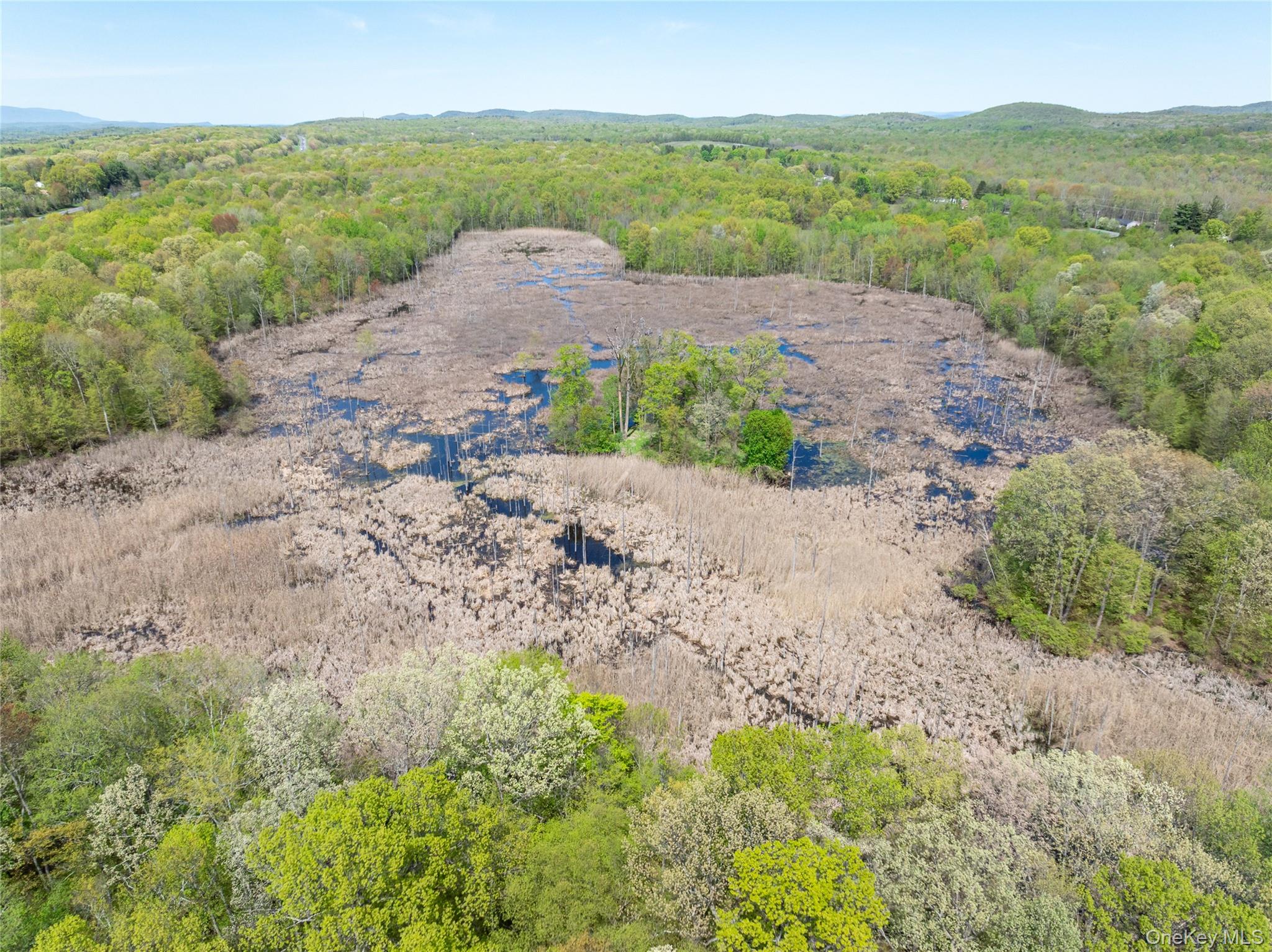 #17 photo, 403 Main Street, New Paltz , NY 12561