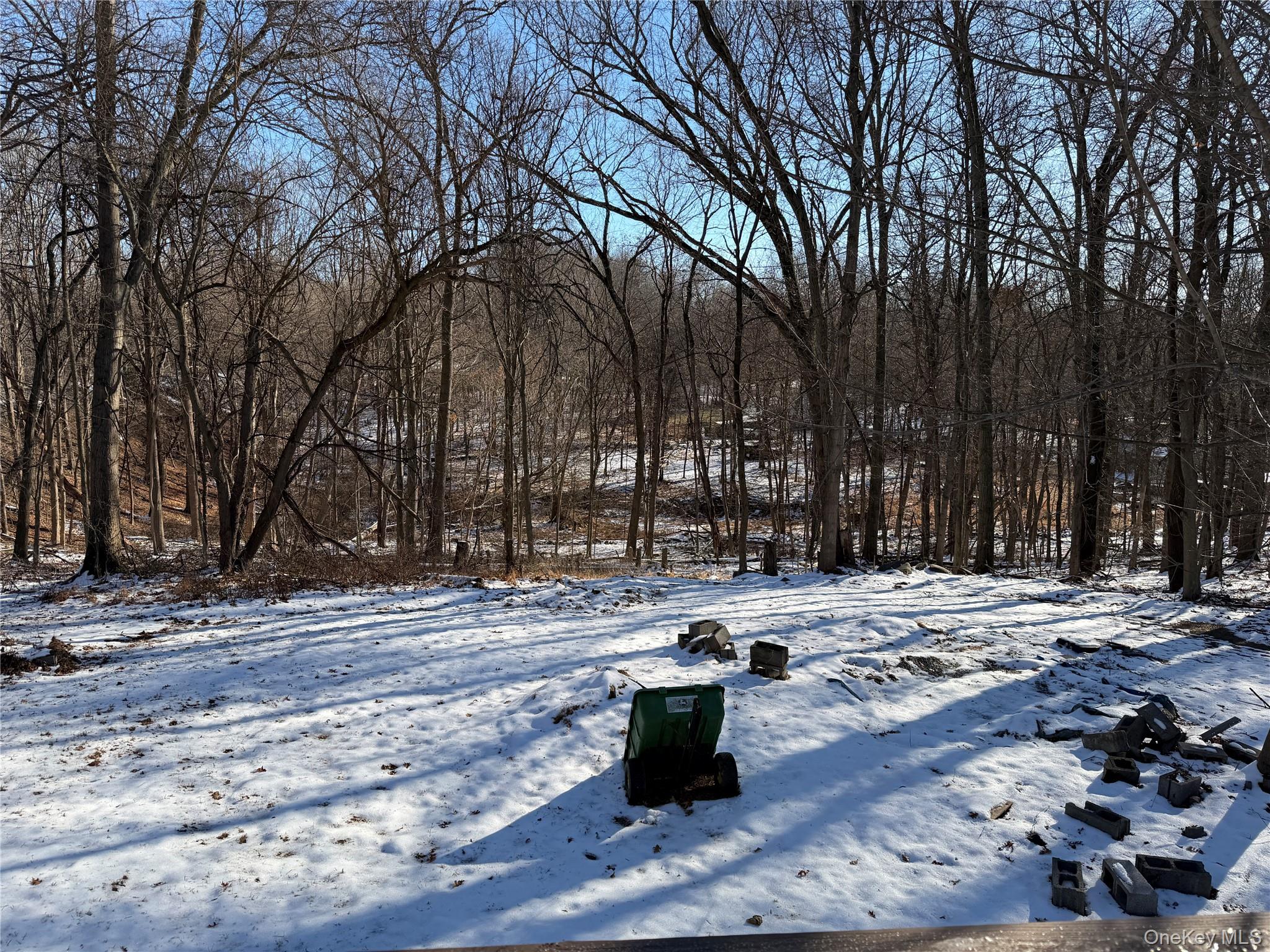 #20 photo, 302 Lake Road, Salisbury Mills , NY 12577