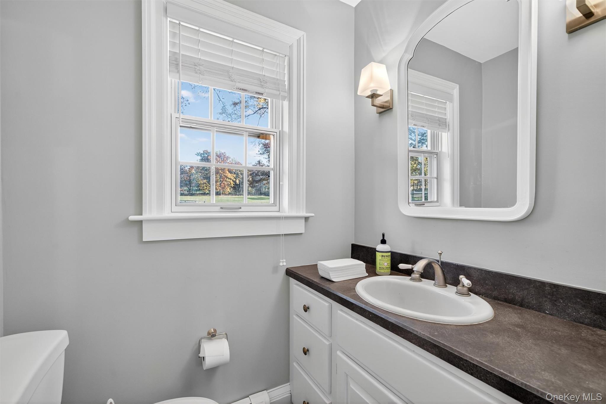 #19 photo, 20 Loyee Lane, Blooming Grove , NY 10992