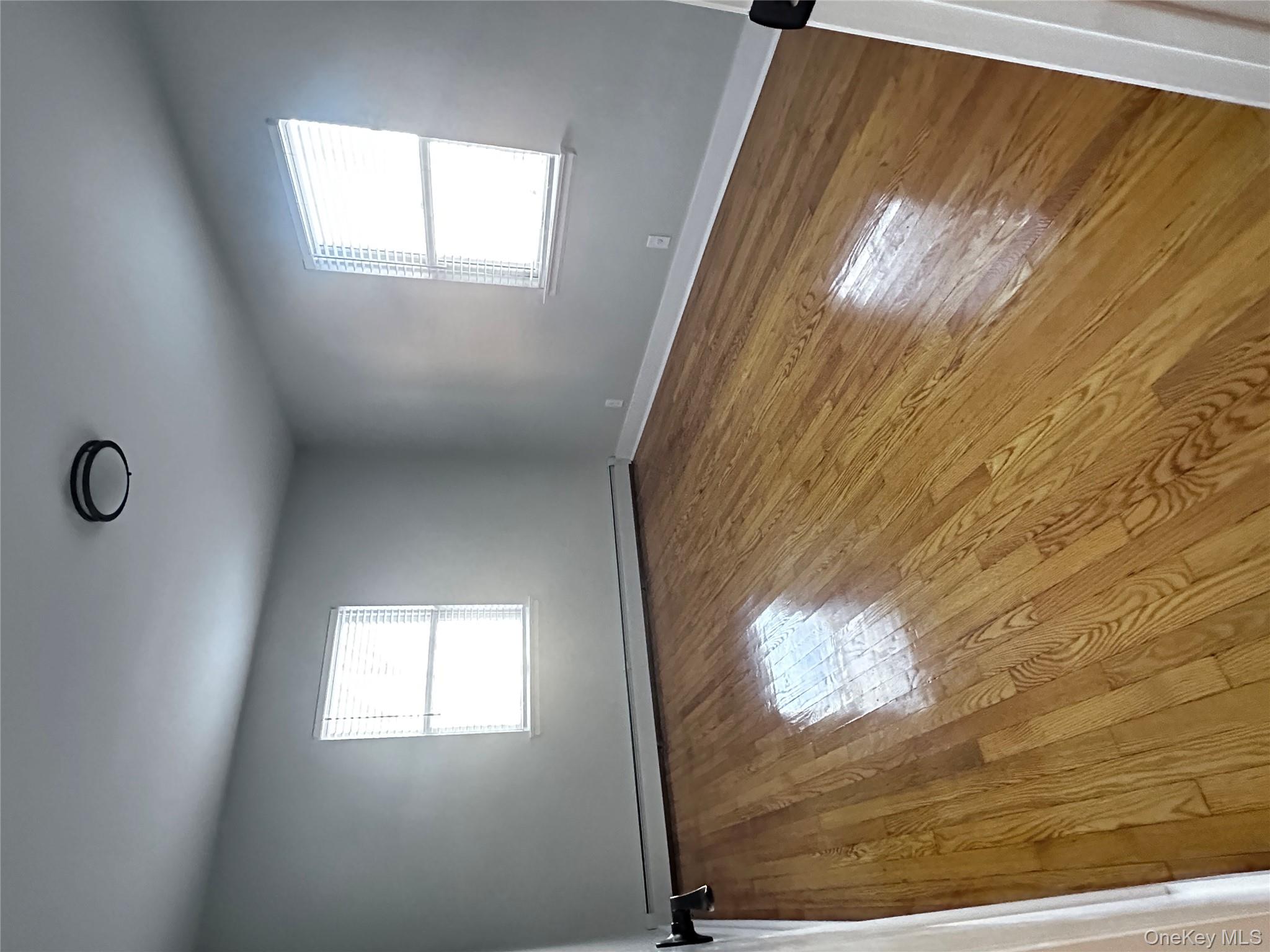 #12 photo, 1233 Lydig Avenue, Bronx , NY 10461