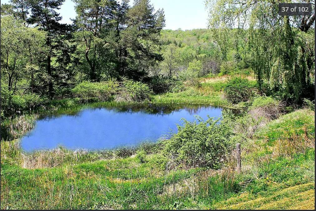 #25 photo, 175 Searles Hill Rd, Bainbridge , NY 13733