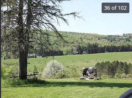 #26 photo, 175 Searles Hill Rd, Bainbridge , NY 13733