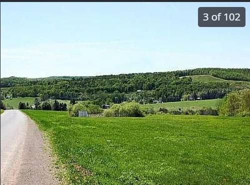 #45 photo, 175 Searles Hill Rd, Bainbridge , NY 13733