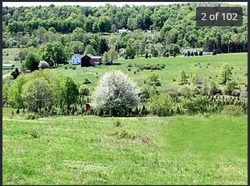 #46 photo, 175 Searles Hill Rd, Bainbridge , NY 13733