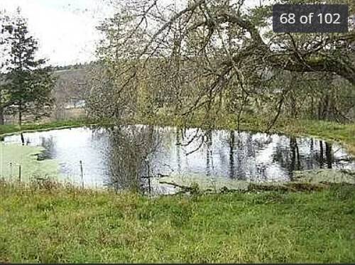 #9 photo, 175 Searles Hill Rd, Bainbridge , NY 13733