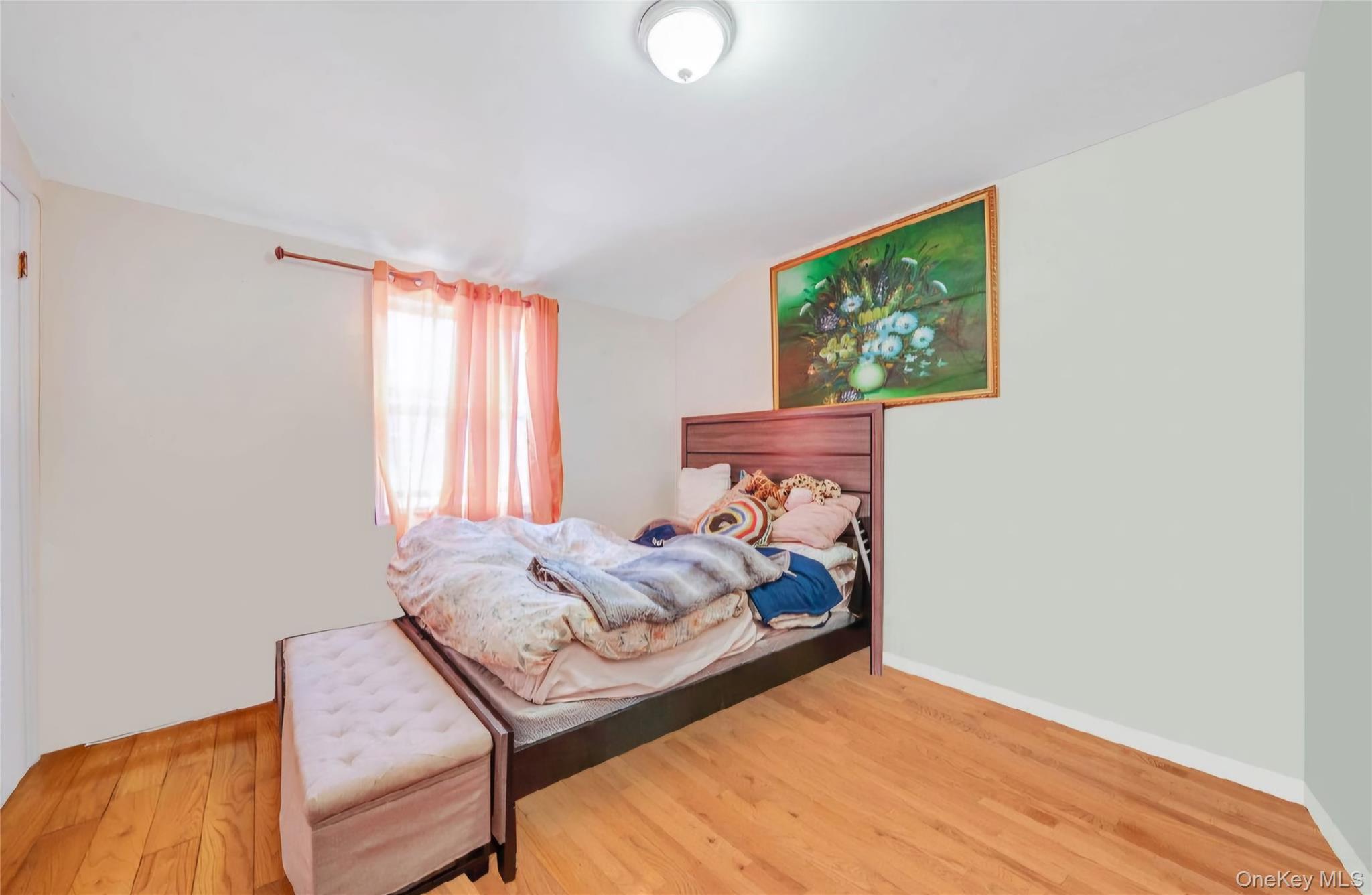 #14 photo, 14746 223rd Street, Springfield Gardens , NY 11413