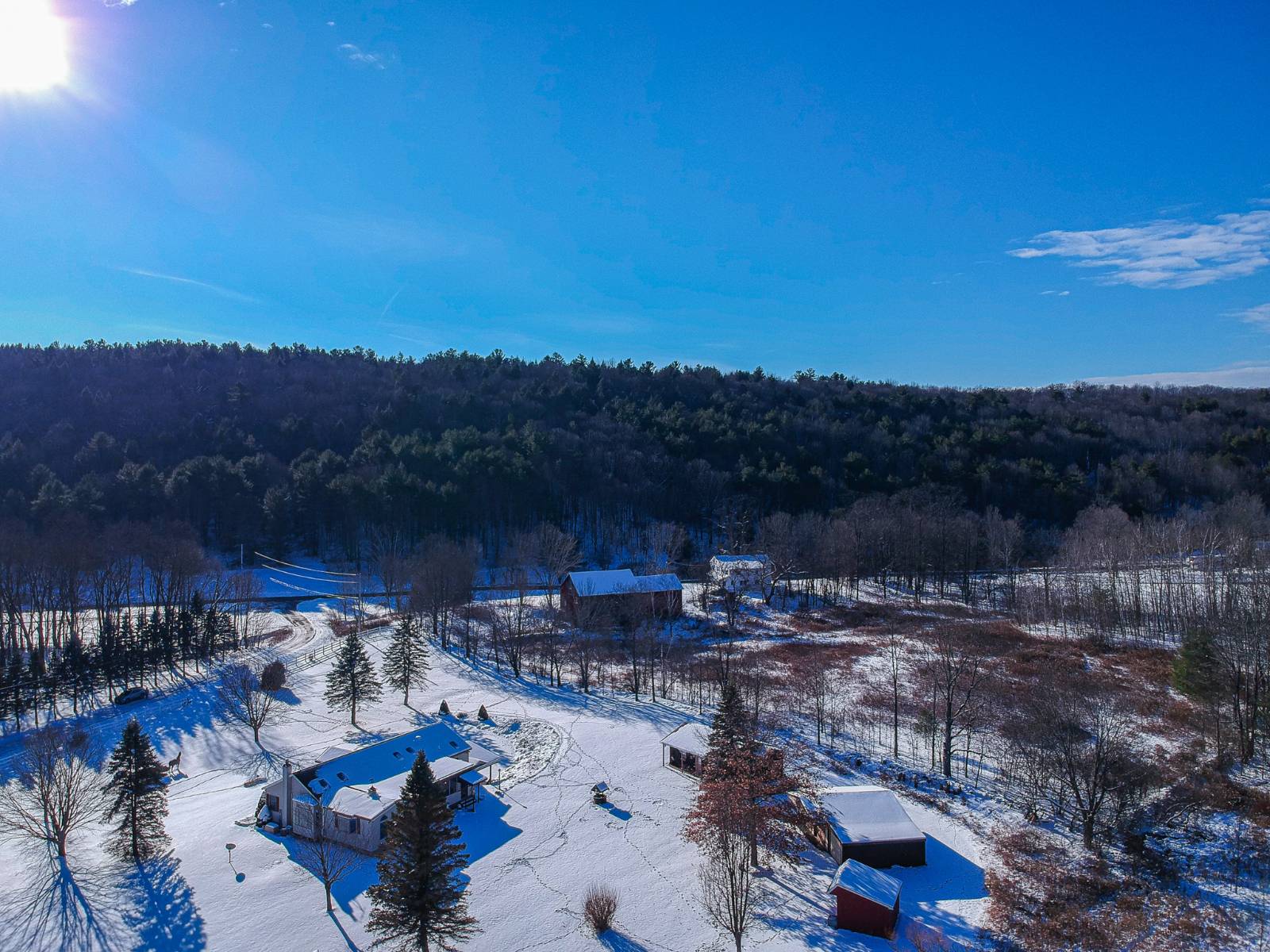 #14 photo, 113 Whispering Pines Drive, Gilboa , NY 12076