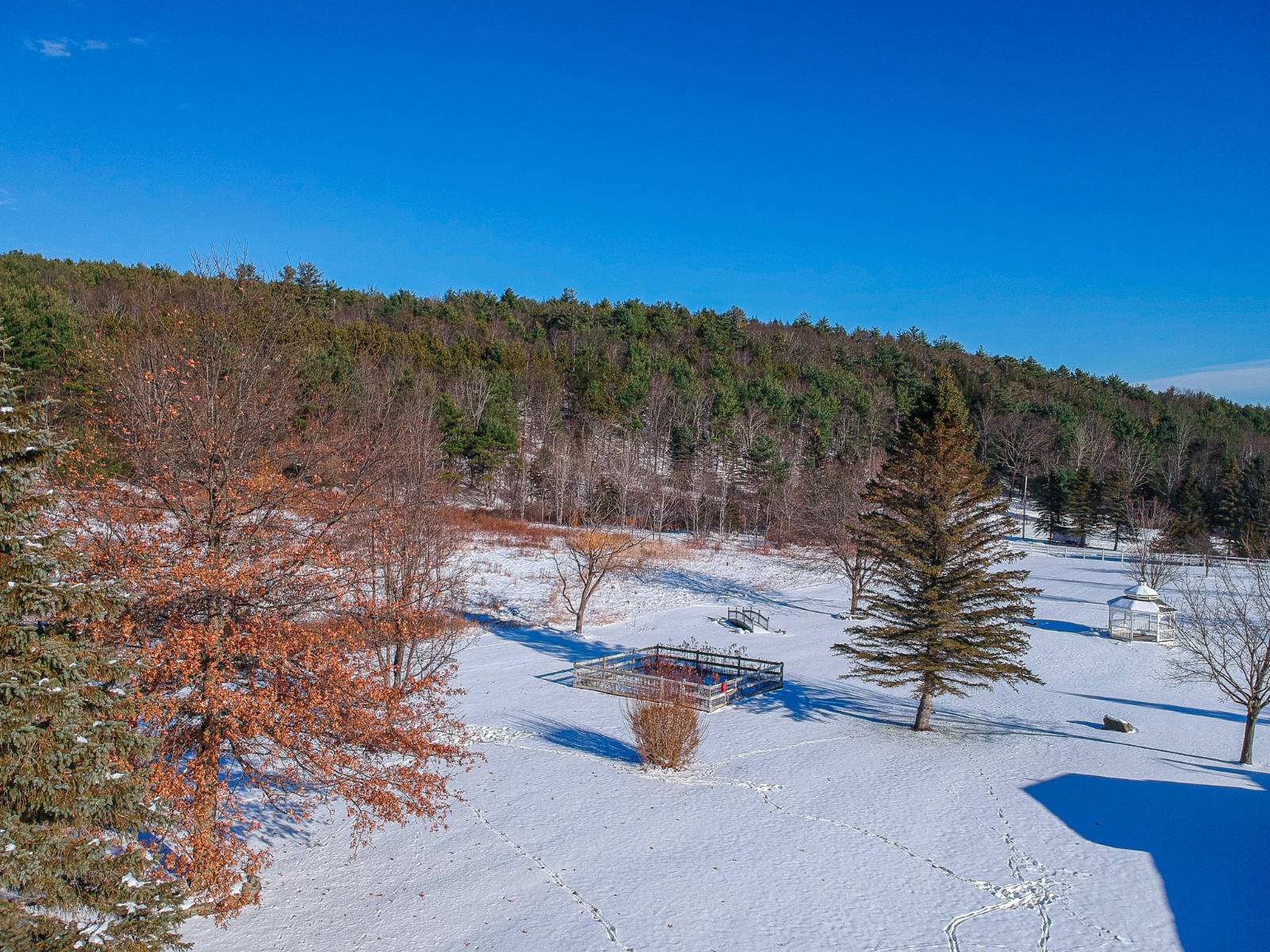 #15 photo, 113 Whispering Pines Drive, Gilboa , NY 12076