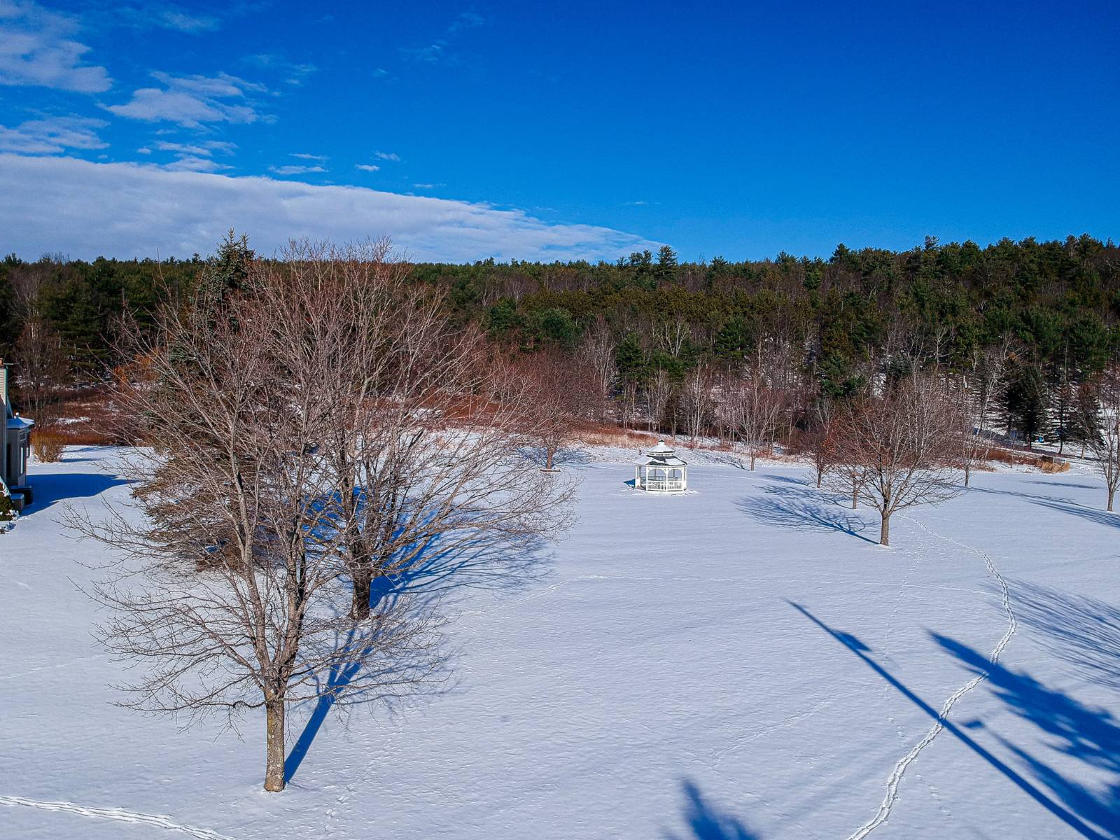 #17 photo, 113 Whispering Pines Drive, Gilboa , NY 12076