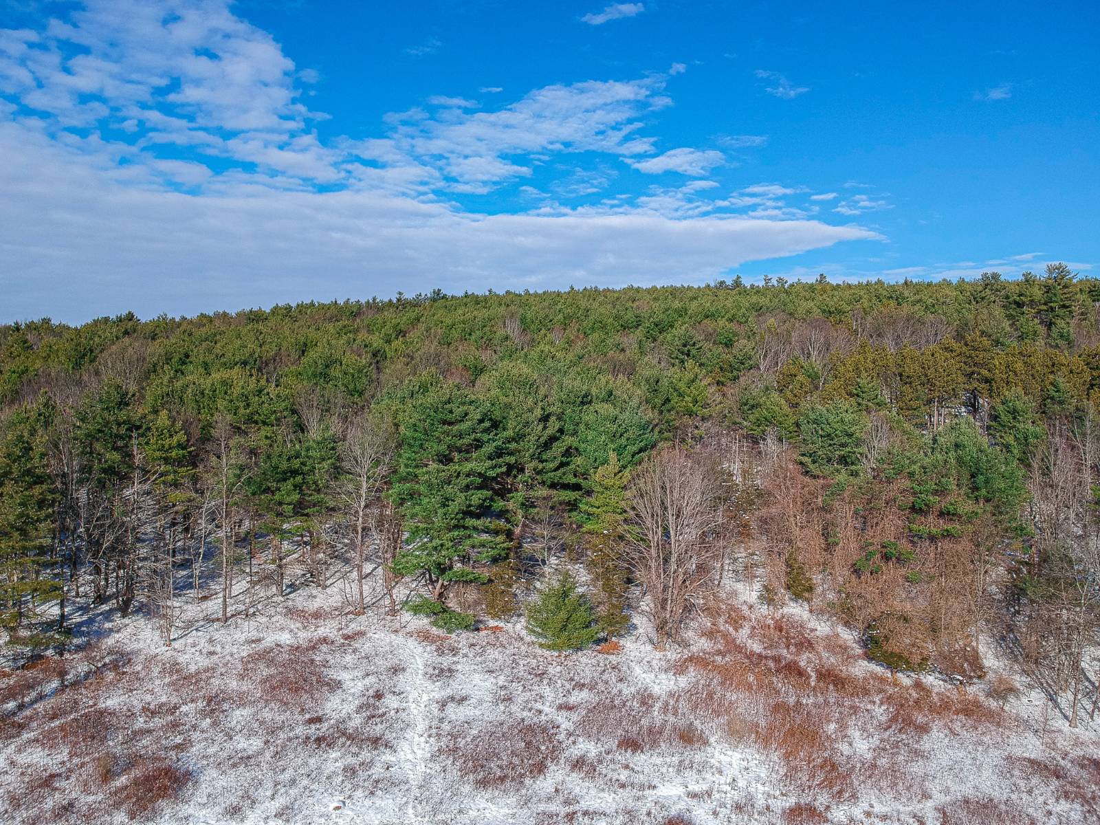 #18 photo, 113 Whispering Pines Drive, Gilboa , NY 12076