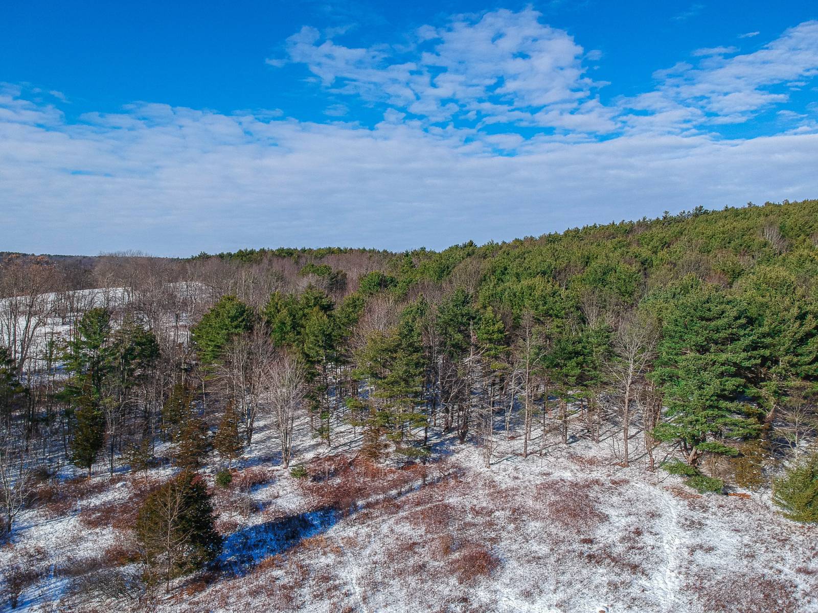 #19 photo, 113 Whispering Pines Drive, Gilboa , NY 12076