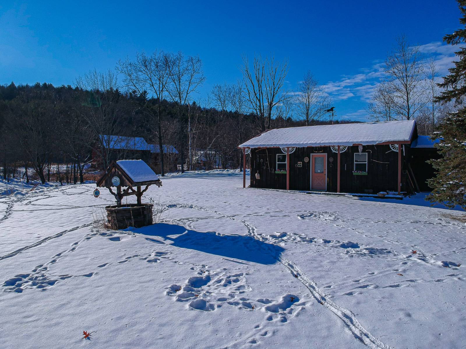 #8 photo, 113 Whispering Pines Drive, Gilboa , NY 12076