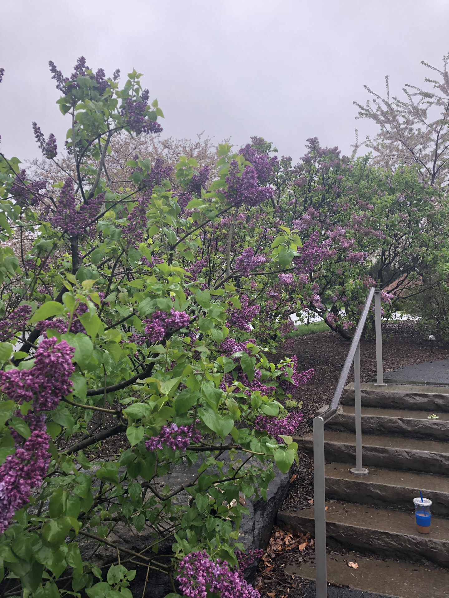 #28 photo, 2385 Barker Avenue, 布朗士 Bronxwood , NY 10467