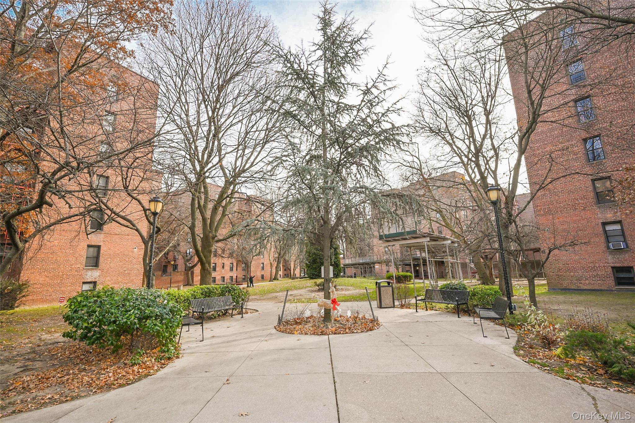 #19 photo, 150-40 71 avenue, কুইন্‌স Flushing , NY 11367