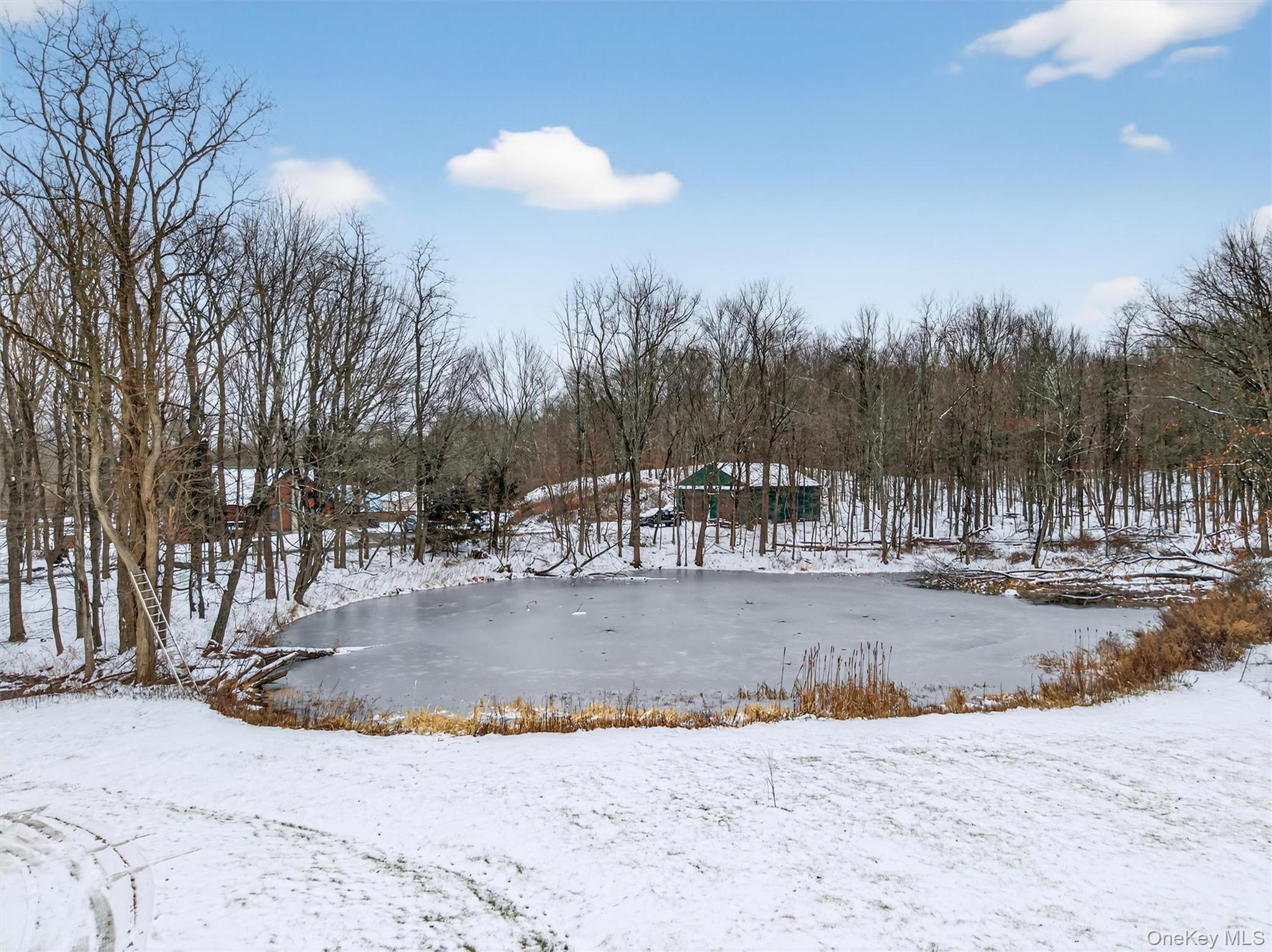 #3 photo, 3 Old Country Road, Otisville , NY 10963