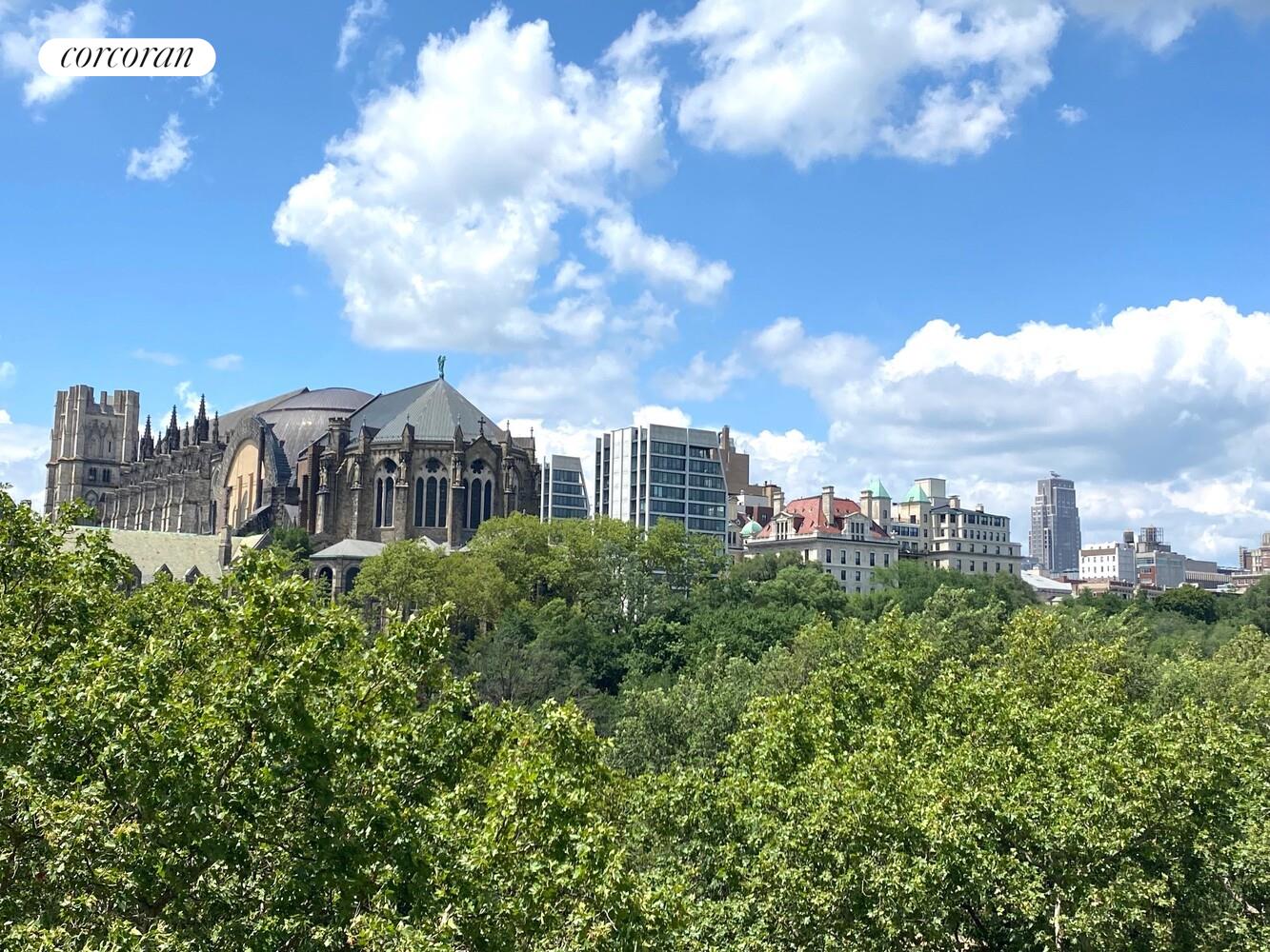 #13 photo, 250 MANHATTAN Avenue, מנהטן South Harlem , NY 10026