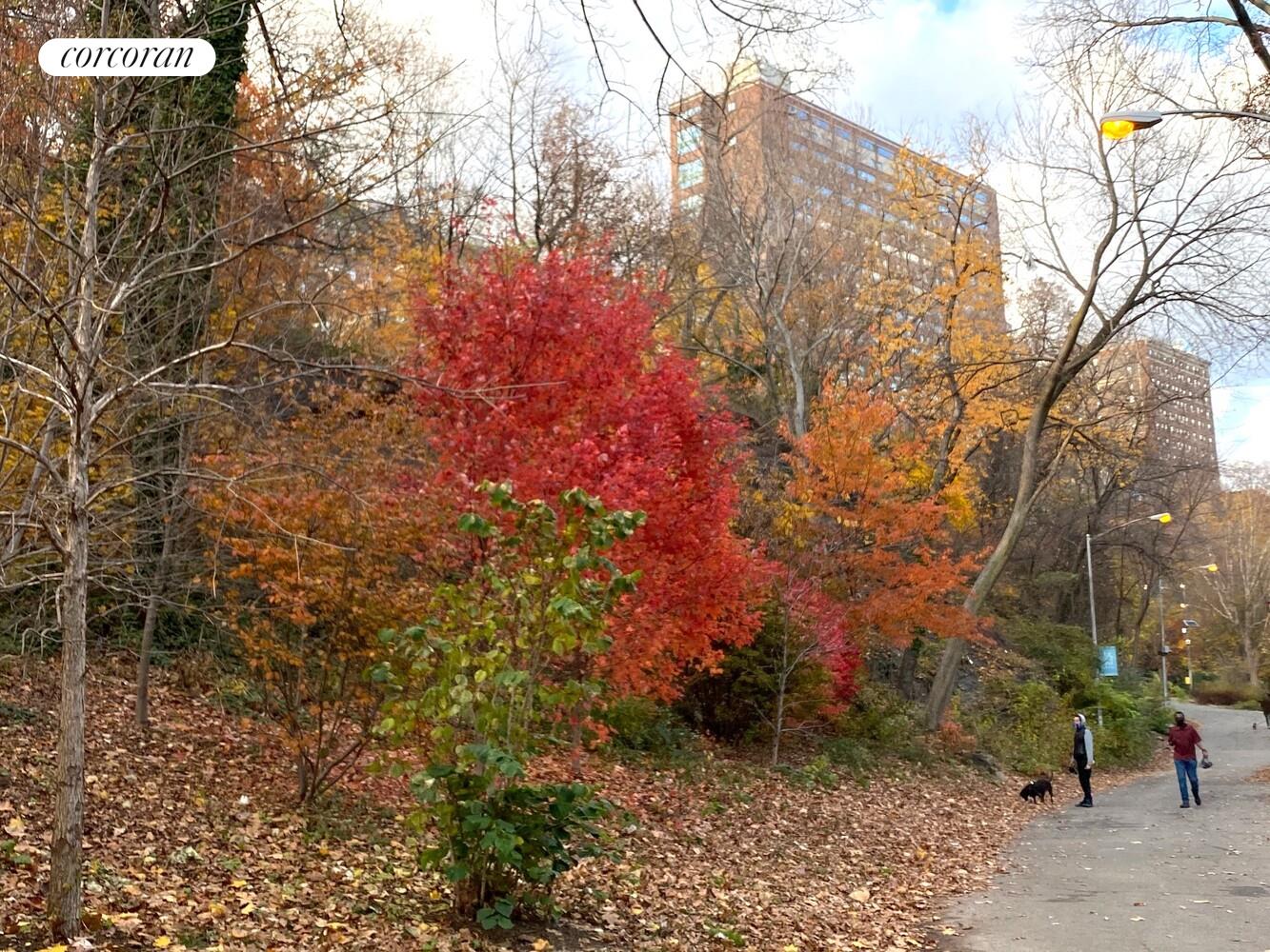 #16 photo, 250 MANHATTAN Avenue, מנהטן South Harlem , NY 10026