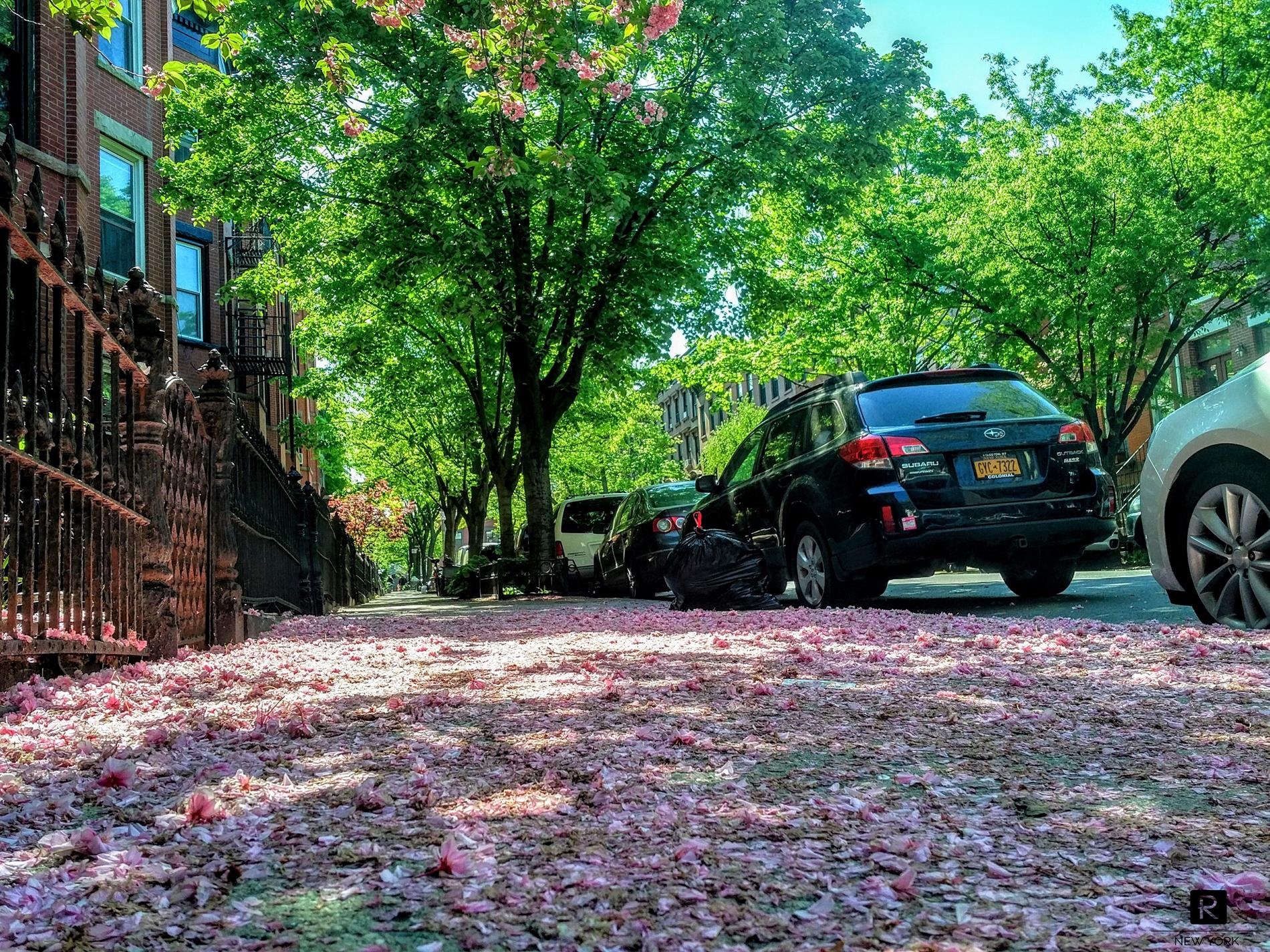 #14 photo, Brooklyn, Park Slope , NY 11217