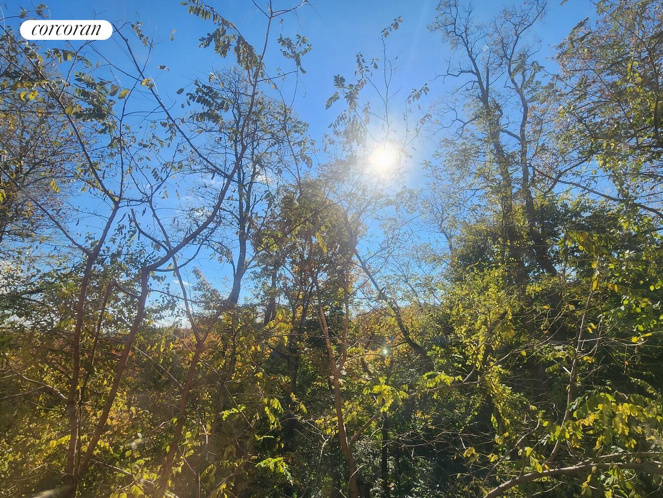 #9 photo, 5400 FIELDSTON Road, North Riverdale , NY 10471