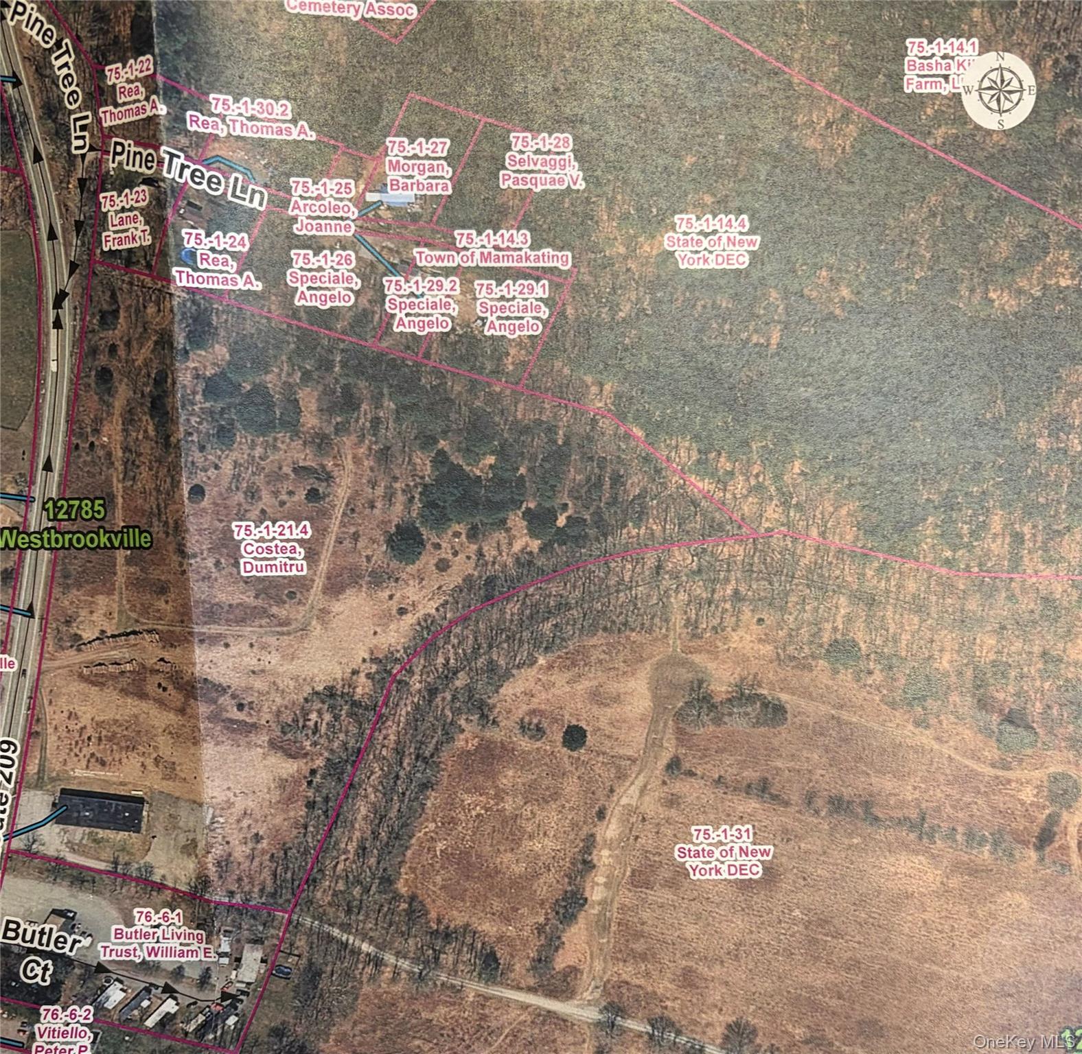 #9 photo, 1756 State Route 209, 纽约州 Wurtsboro , NY 12790