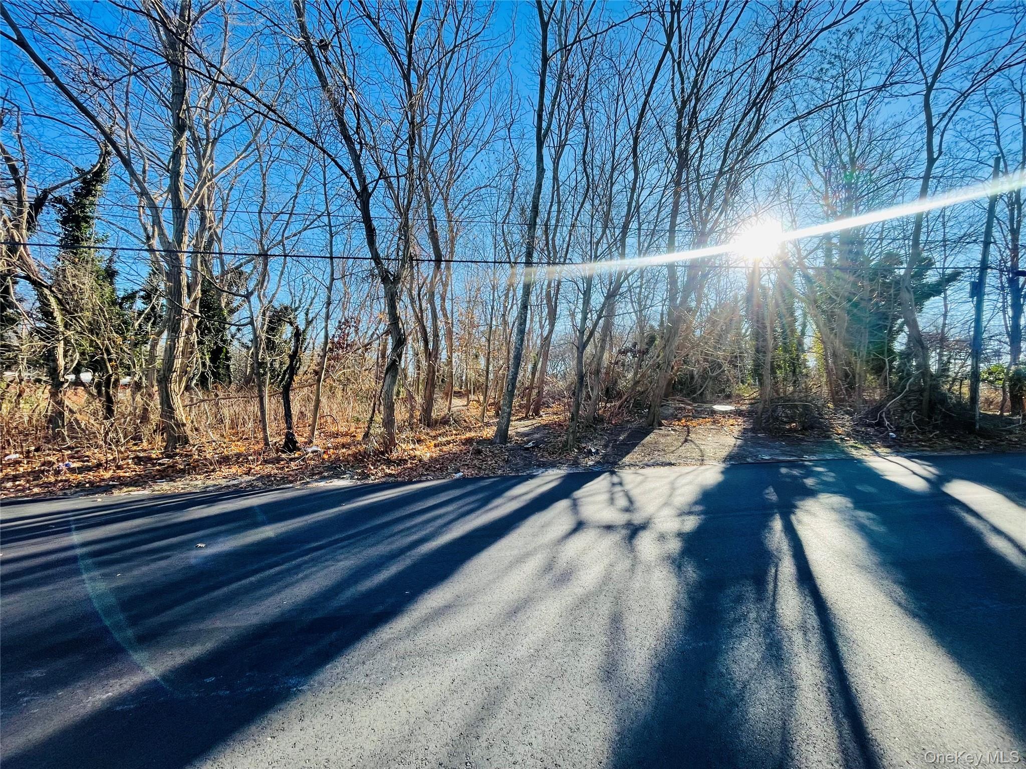 #3 photo, VL Meadowmere Avenue, Mastic , NY 11950