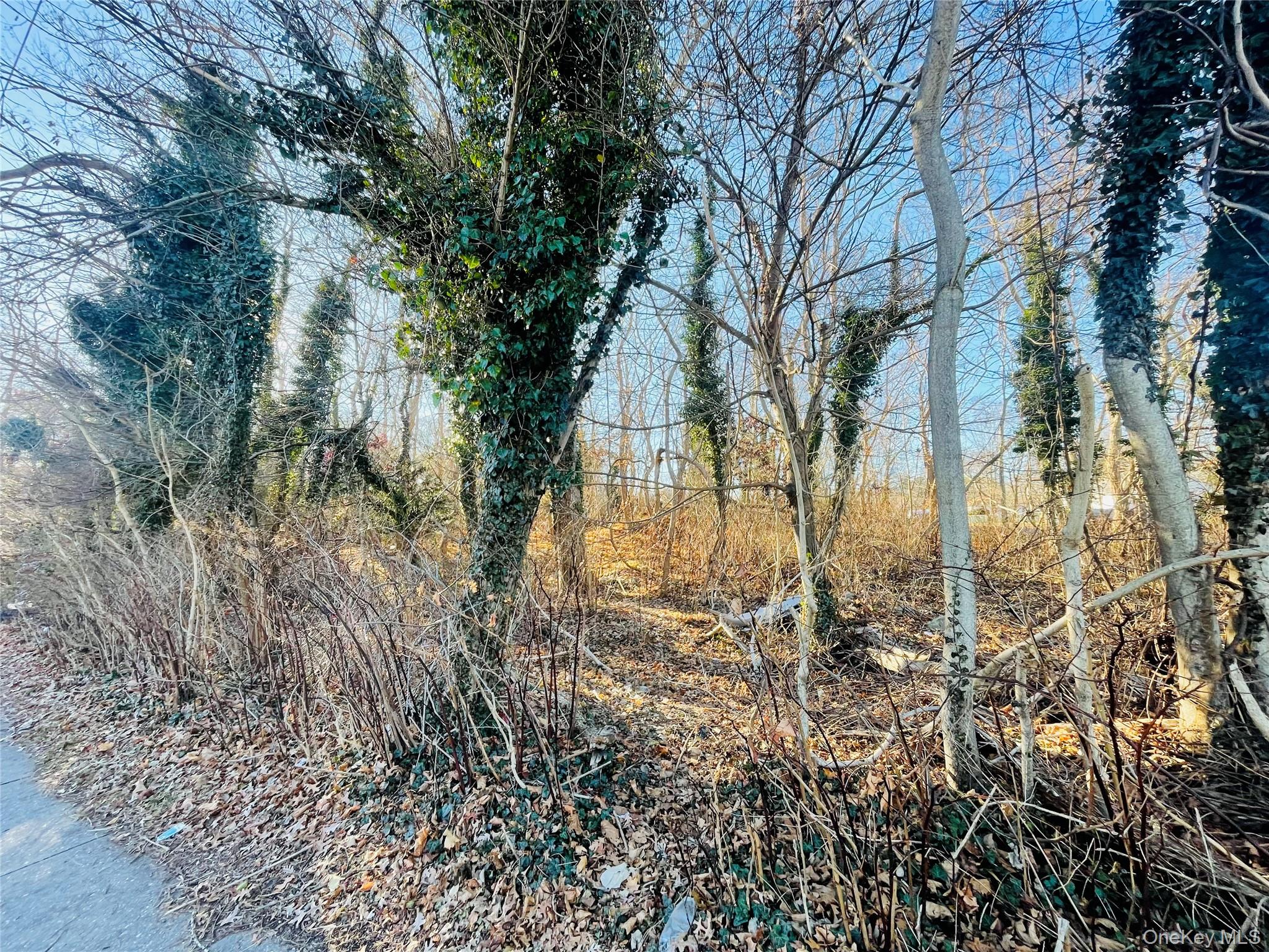 #7 photo, VL Meadowmere Avenue, Mastic , NY 11950