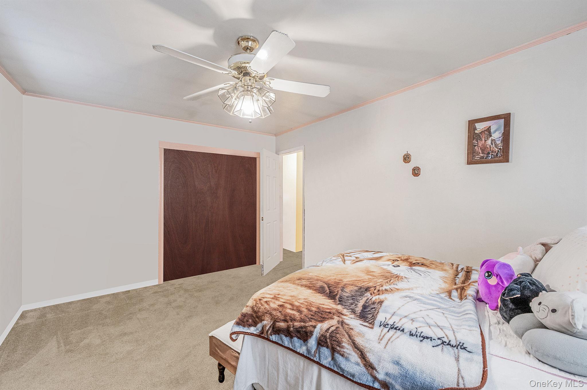 #11 photo, 206 W Marshall Street, Hempstead , NY 11550