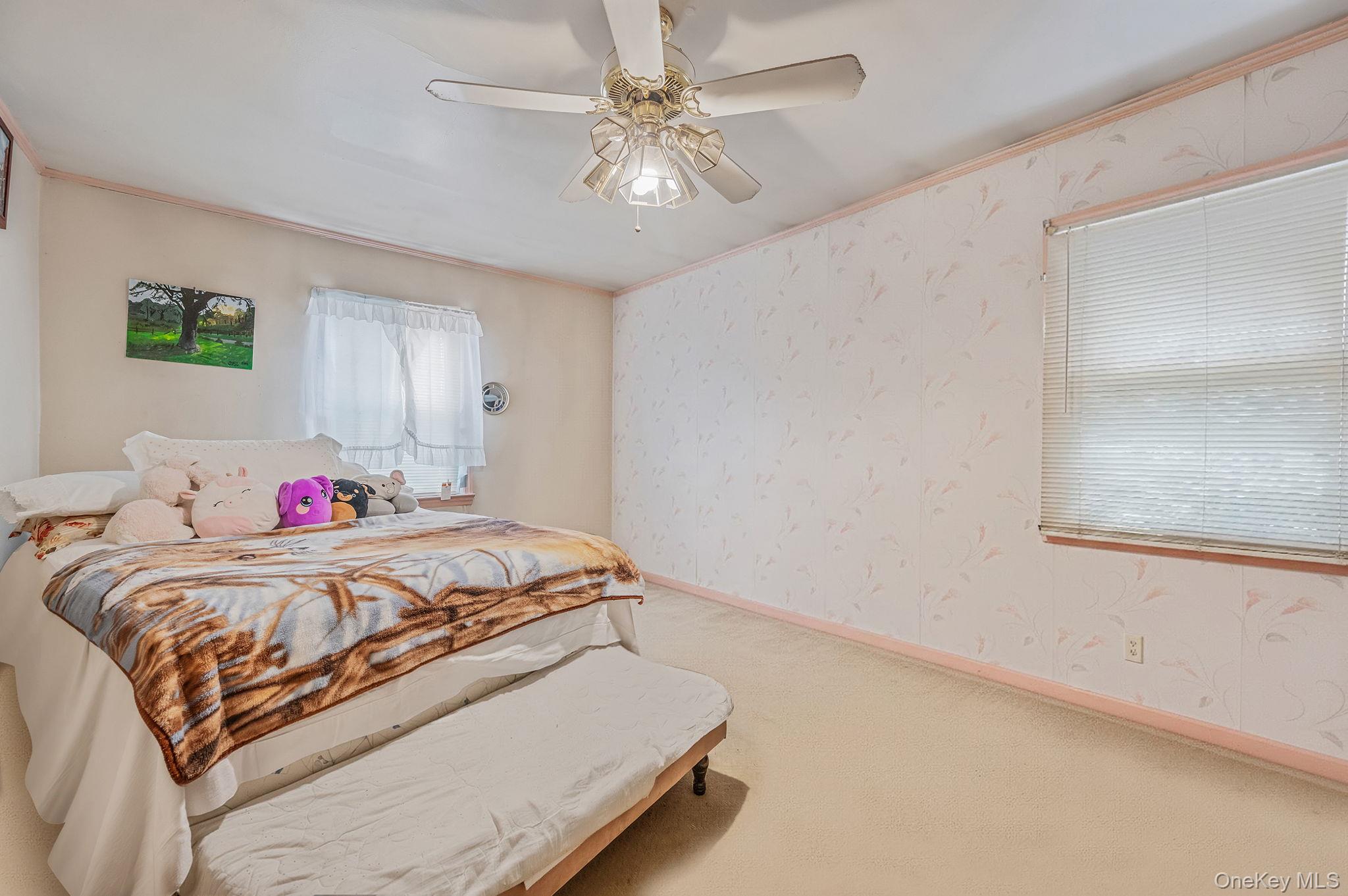 #12 photo, 206 W Marshall Street, Hempstead , NY 11550