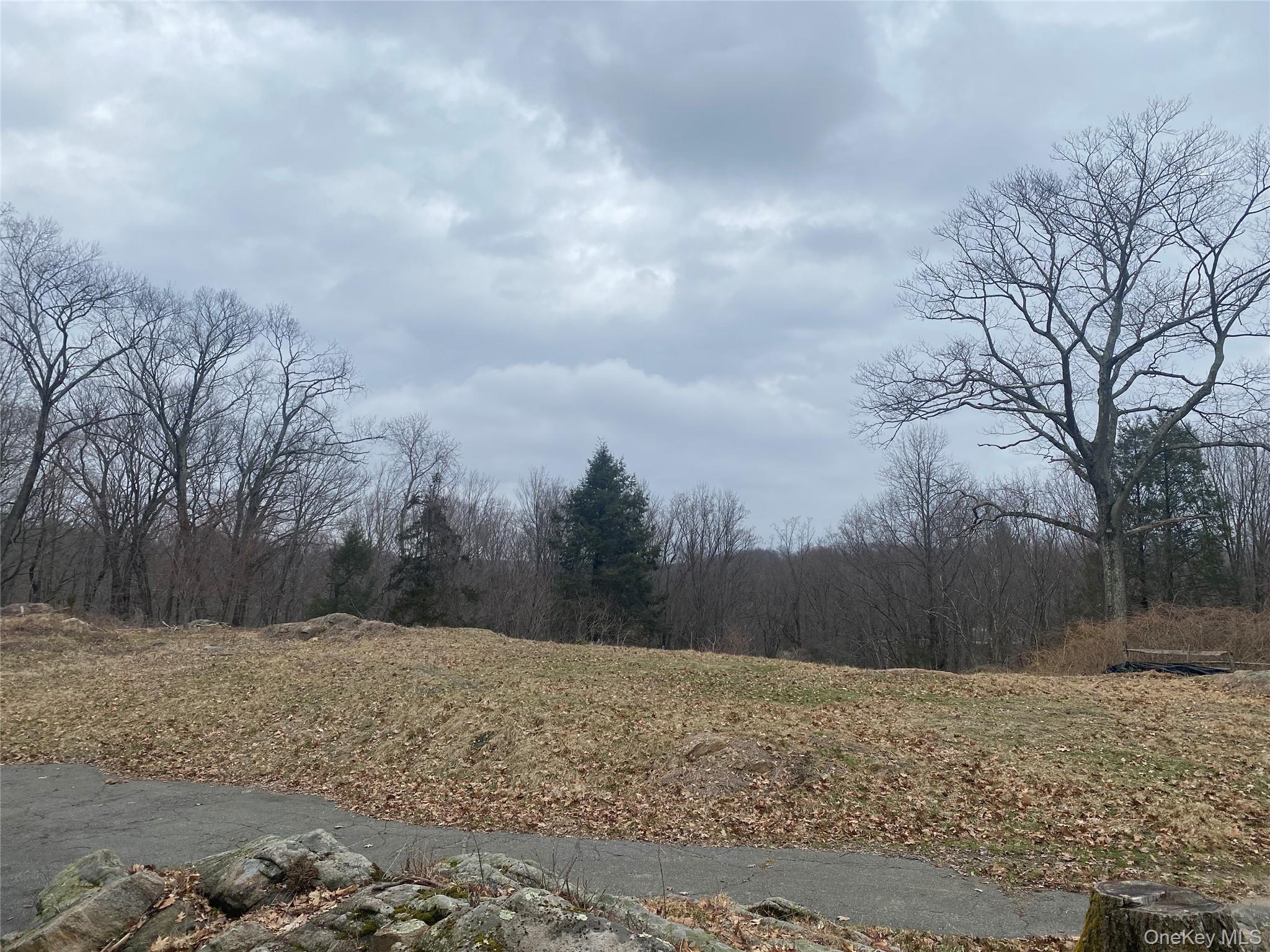 #4 photo, 4 Ledgewood Place, Armonk , NY 10504