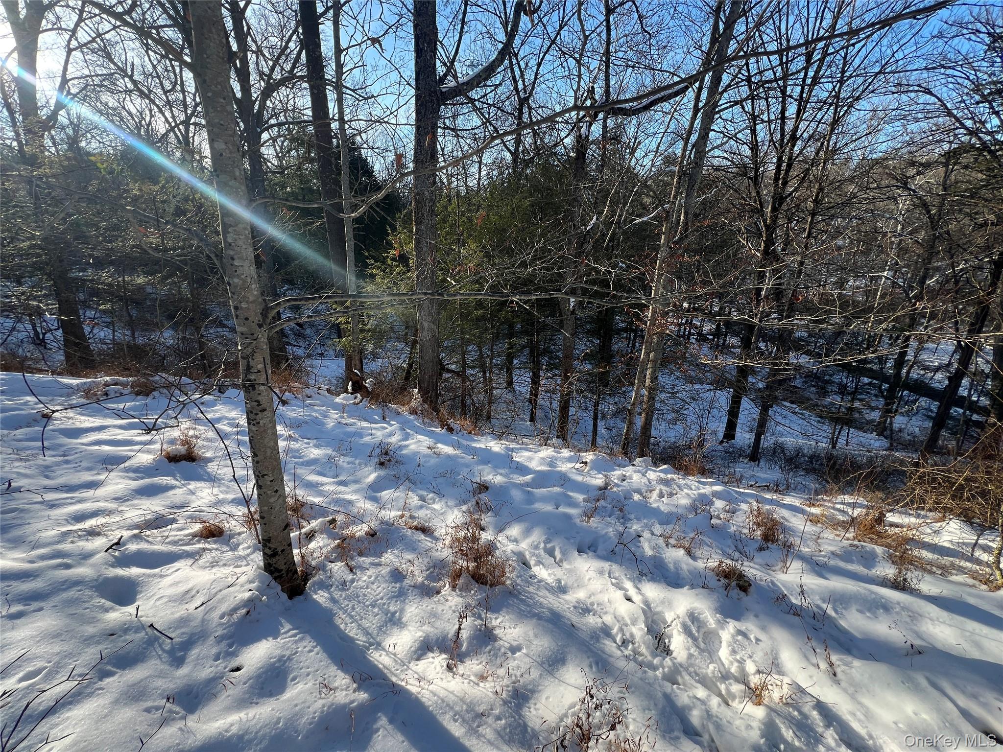 #10 photo, 26 Mossy Brook Road, High Falls , NY 12440